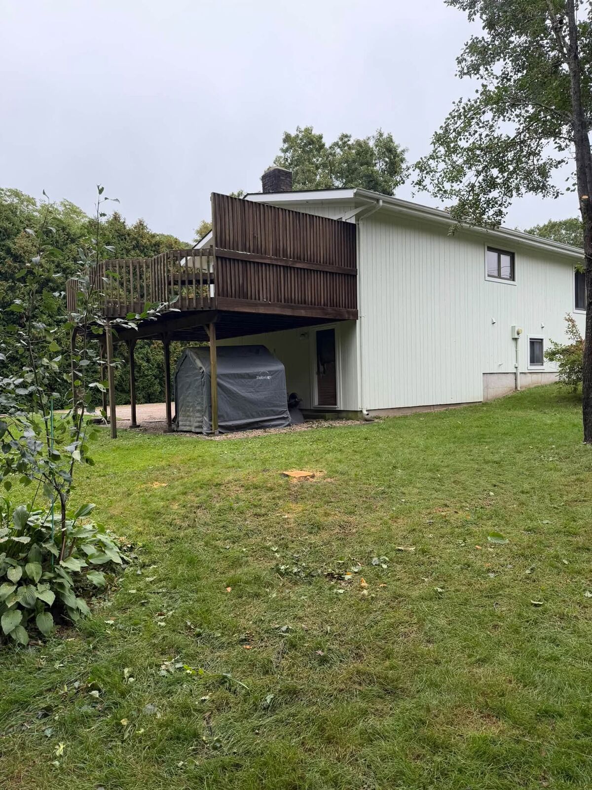 After: back lawn cleared of all limbs and branches below the deck