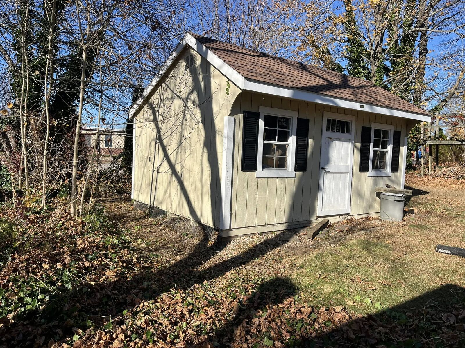 After: shed walls cleared of ivy and the ground around it cleaned up