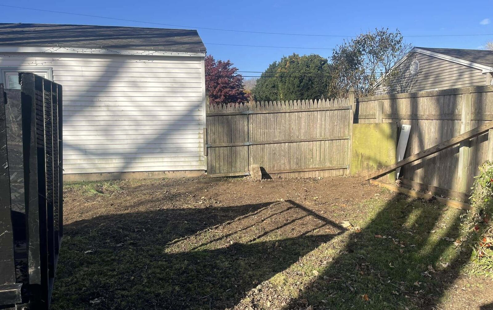 After: the same backyard corner cleared of the brush pile