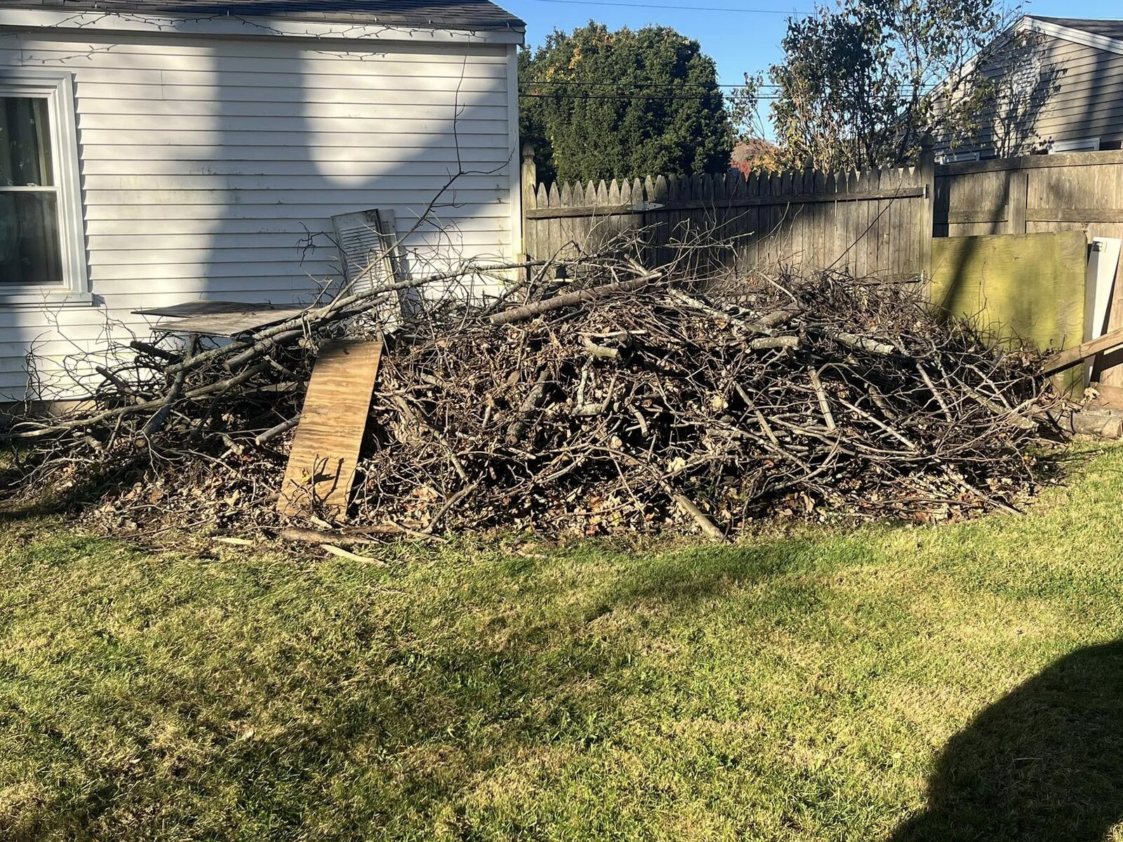 Before: large pile of branches and brush in a fenced backyard