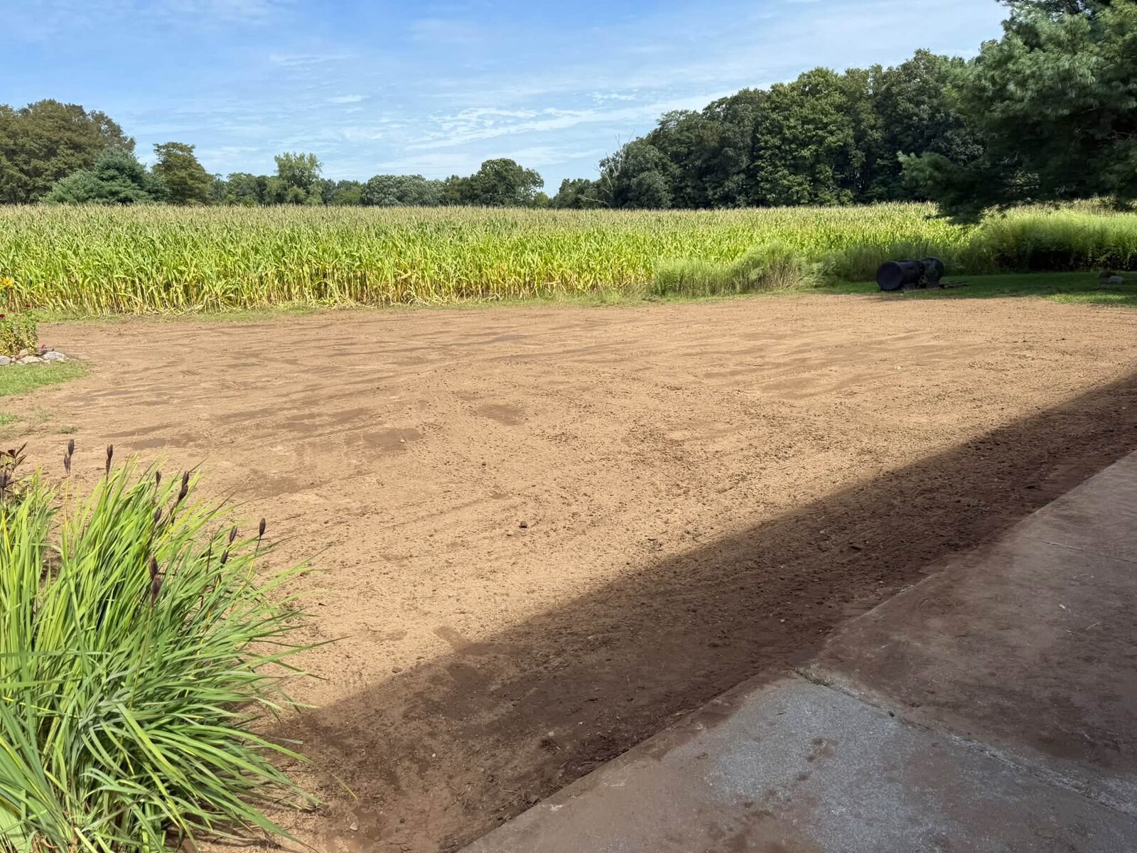 Before: bare graded soil beside a cornfield
